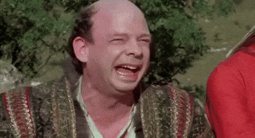 The Princess Bride GIFs - Find & Share on GIPHY