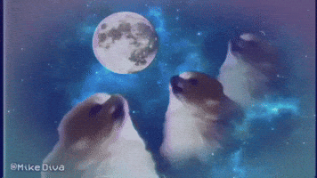 dog howling GIF by Mike Diva dog howling GIF by Mike Diva