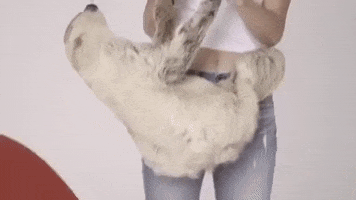 kendall jenner model GIF by Who What Wear