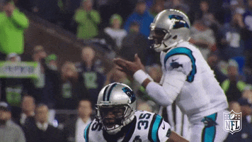 Carolina Panthers Applause GIF by NFL