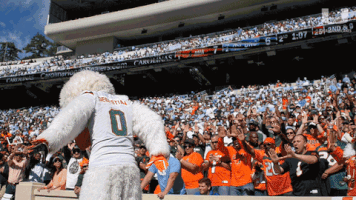 jumping college football GIF by Miami Hurricanes