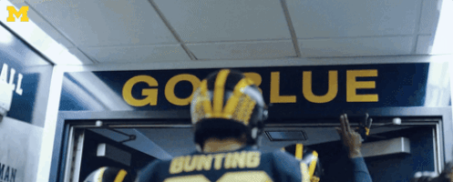 College Football Mood GIF by Michigan Athletics