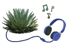 Mexico Musica Sticker by Santa Sabia Media