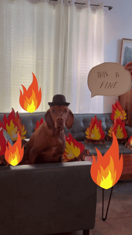 This Is Fine GIF