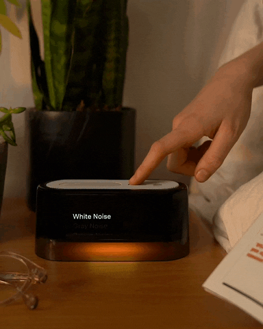 loftie GIF