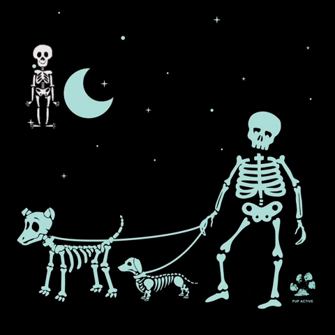 pupactive halloween skeleton skeletons pupactive GIF