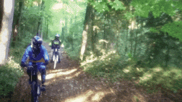 Stealth Electric Bikes GIF