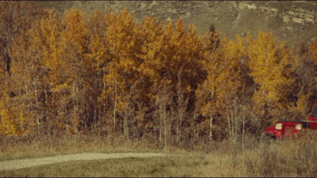 Wyn0nnaE4rp syfy #wynonnaearp GIF