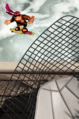 los angeles surfer GIF by zck_kntr