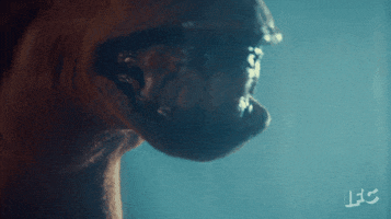 tv show horror GIF by IFC