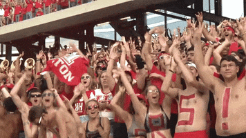 houston cougars fans GIF by Coogfans