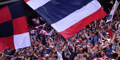 home fans GIF by Sydney Roosters Football Club