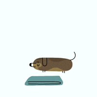 sleepy sausage dog GIF by CsaK