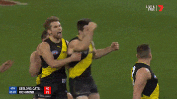 richmond tigers finals GIF by AFL