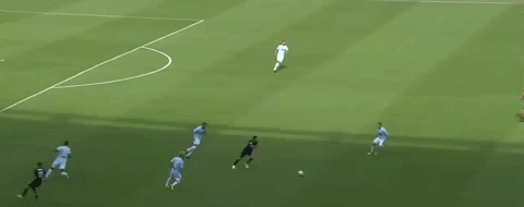 FedAq  GIF