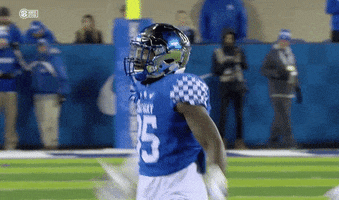 Kentucky Wildcats Big Blue Nation GIF by SEC Network