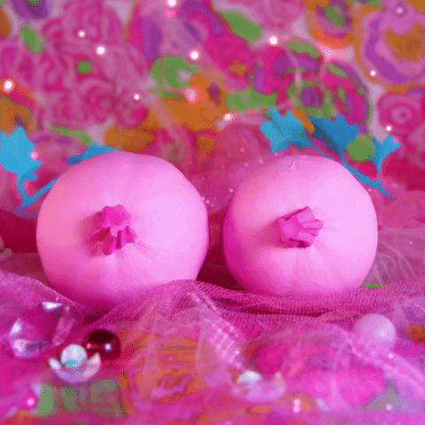 Stop motion gif. Two pink pumpkins are laid on their side so they look like a pair of breasts and they shake back and forth for breast cancer awareness.