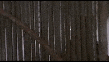 Arnold Schwarzenegger Entrance Gif By th Century Fox Home Entertainment Find Share On Giphy