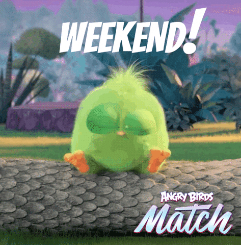 weekend hatchling GIF by Angry Birds