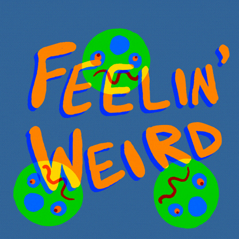 weirdness feeling weird GIF