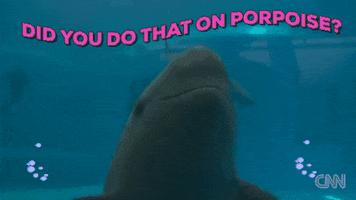 on purpose porpoise GIF by chuber channel