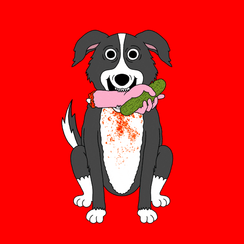 Adult Swim GIF by Josh Freydkis Find & Share on GIPHY