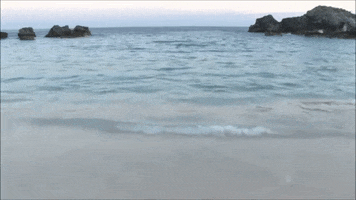 Blue Water Beach GIF by Oceana