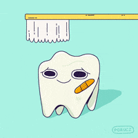 teeth brushing GIF by Michelle Porucznik
