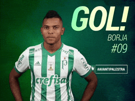 borja GIF by SE Palmeiras