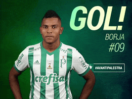 borja GIF by SE Palmeiras