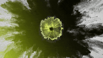 Ballmeisterei GIF