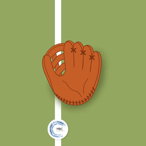 carlagomezgil baseball GIF