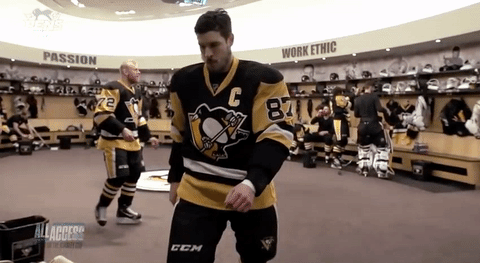 Stanley Cup Playoffs Nhl GIF