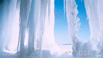 America Wild Film GIF by Visit The USA FR