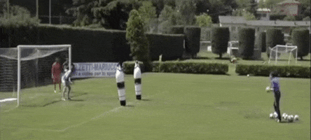 goalkeeper torwart goleiro goalkeepers portieri GIF