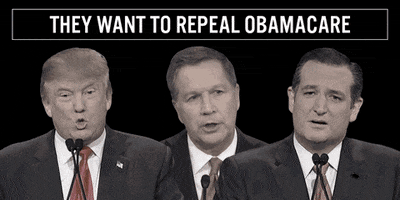 democrats  GIF