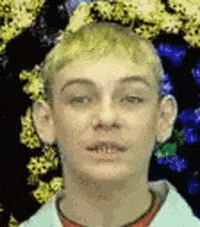 dodecosini steklovata noviygod GIF