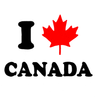 Canadian GIF by megan motown