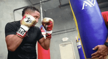 one punch boxer GIF by Andre Ward