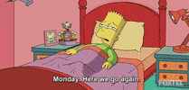 #monday #simpsons GIF by Foxtel