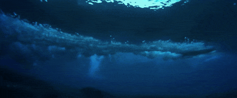 Relapse Records Ocean GIF by The Album Leaf