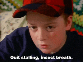 Pete And Pete GIF