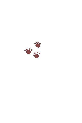 Cats Sticker