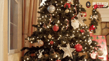 200.gif?cid=fc005b0897dcb0a55bb9b6e7386001bc0f74572335dcfb9f&rid=200.gif&ct=g
