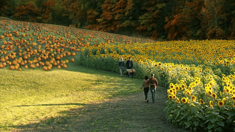 GIF uploaded by Ronnie