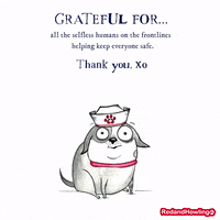 Dog Thank You GIF by Red and Howling