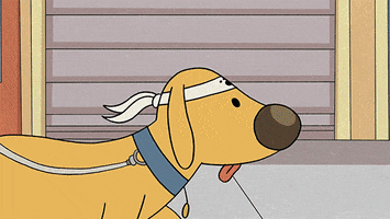 dog wtf GIF by Cartoon Hangover