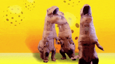 go for it GIF