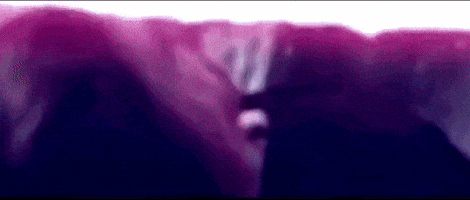 Star Wars Lightsaber Battle GIF