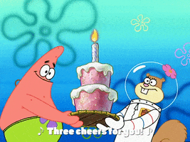 Season 3 Birthday GIF by SpongeBob SquarePants